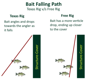 bait falling path